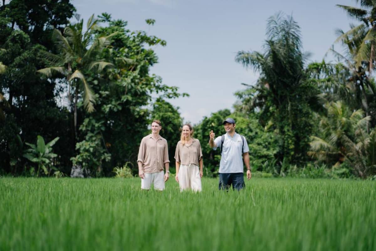 Panduan 10 Aktivitas Terbaik di Ubud Bali: Mulai Wisata Alam, Budaya dan Hotel Mewah