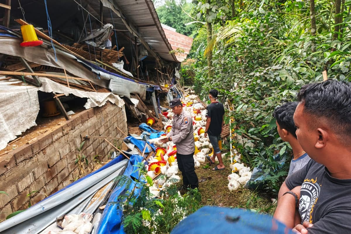 Korban Jiwa Kandang Ambruk di Wonosari Jadi 2 Orang, Polisi Dalami Unsur Kelalaian