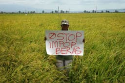 Isu Indonesia Impor 1000 Ton Beras, Akademisi UB Soroti Permasalahan Petani yang Kian Banyak