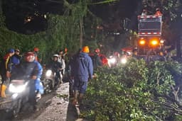 Akibat Cuaca Ekstrem, BPBD Kota Batu Laporkan 31 Pohon Tumbang