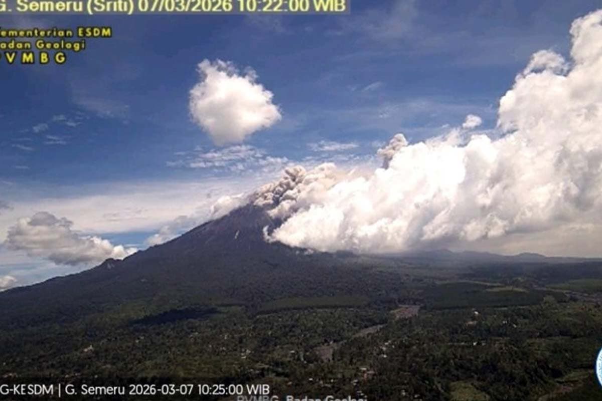 Gunung Semeru Erupsi, Awan Panas Mengarah Besuk Kobokan