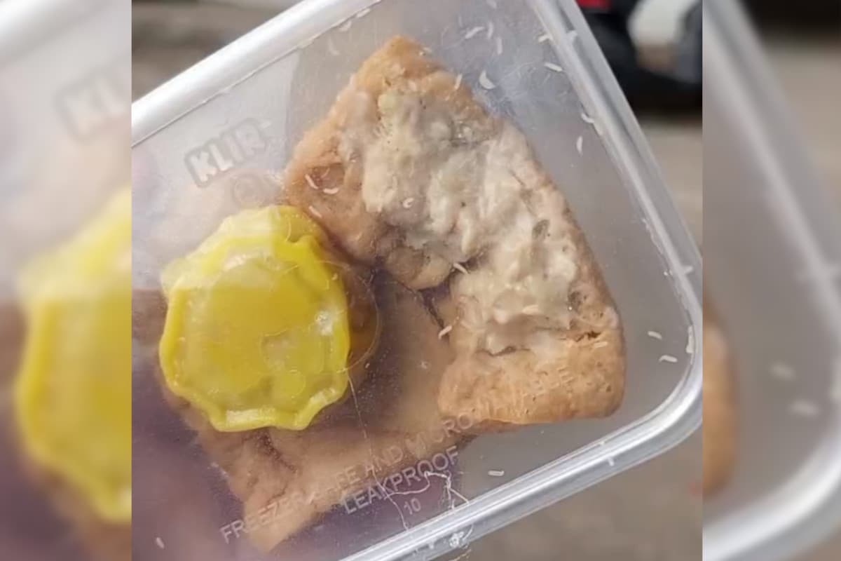 Belatung Kembali Ditemukan di Menu MBG, DPRD Soroti Respons Serius Pemkab Malang