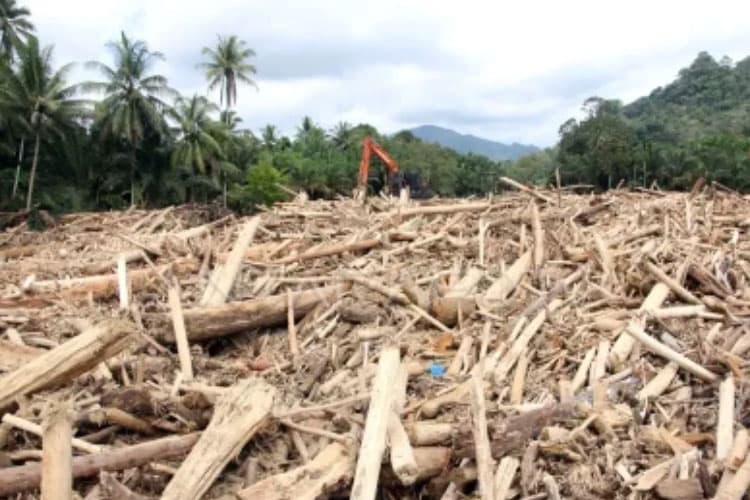 Dua Ekskavator & Buldoser Diamankan, Polri Selidiki Pihak di Balik Penebangan Liar di Sumut